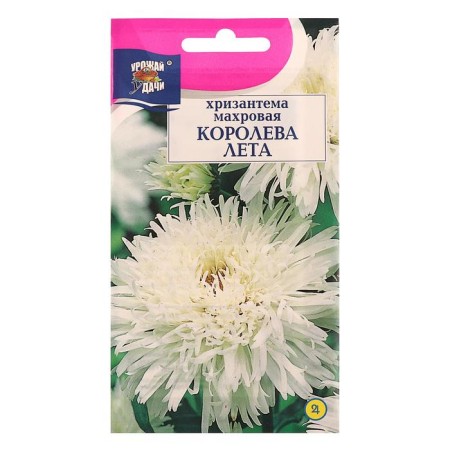Seeds of chrysanthemum flowers multi -flowered "Queen of Summer", 0.03 g