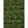 Basement network 3 x 6 m, single, dark green