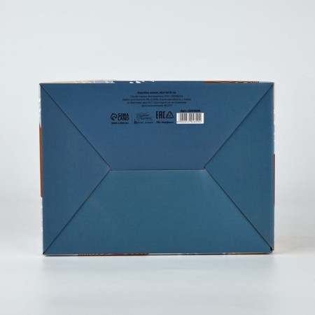 Box Gift team, packaging, "silhouette", 26 x 19 x 10 cm-3