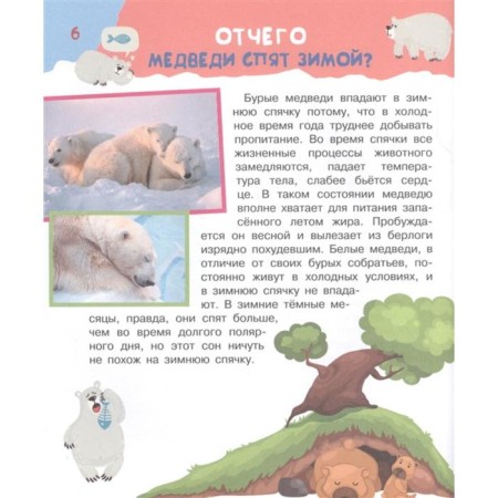Why, why and how? The most interesting children's questions. Bobkov P.V., Malov V.I.-10