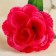 Artificial flowers "Rosa Maline" 40 cm
