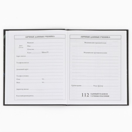 School Diary 1-4 class, in a solid cover, 48 liters "September 1: butterflies"-4