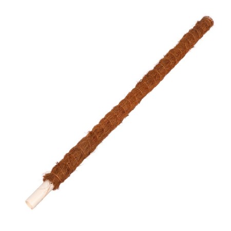Pegs for garter plants, h = 60 cm, d = 2.5 cm, coconut, greengo
