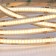 ARTE LAMP Lane 24V 10W/m, 3000k, 5 m