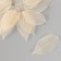 Leaves skeletered for creativity "bodily" set 20 pcs h = 6-6.5 cm