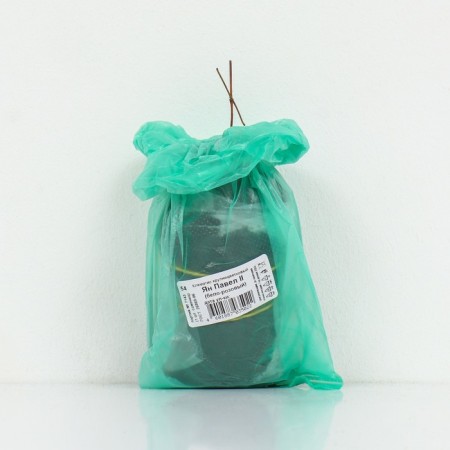 Clematis large -flowered "Jan Pavel II", 1 pc, tube, spring 2025-2