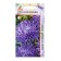 Astra Apollonia Blue 0.3g*
