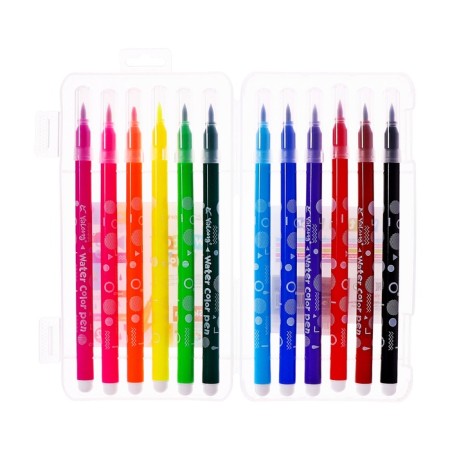 A set of watercolor markers with a 12pcs with a tips/12 -cv in a plastic penalty-1