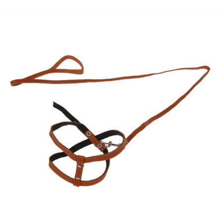 Set "Zononic": a slope with a leash for puppies, 150 x 0.12 cm, leather, mix-5