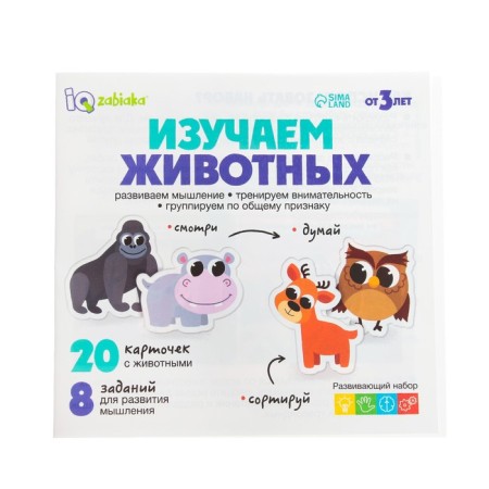 Developing set of "studying animals"-2