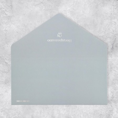 Gift envelope "Congratulations", software touch, embossing, 19 × 9.2 cm-2