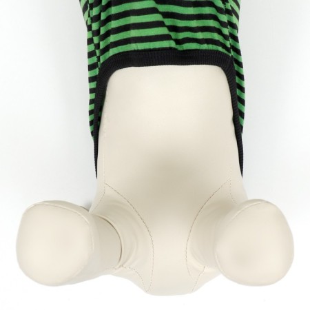 T -shirt for animals, XS (DS 20, OG 32, Osh 19 cm), Green-4