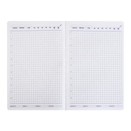 Delicidal Lowed Boss A5, 140 sheets in a cage, with a handle, PVC cover, mix-8