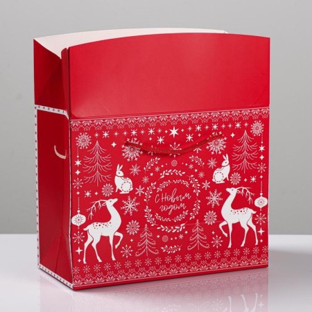 Package - “Feast Magic”, 23 x 18 x 11 cm, New Year-2