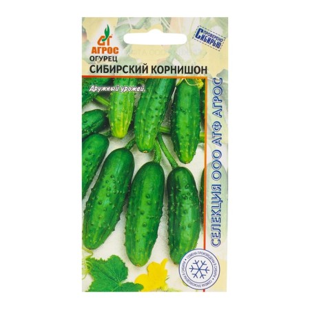 Seeds of the Siberian Kornishon cucumber 10pcs* selection agros