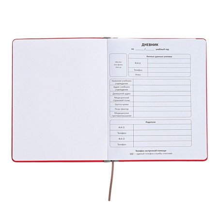 Universal diary for grades 1-11 Excellence, solid cover of artificial leather, silkography, lies, 48 ​​sheets, pink-3