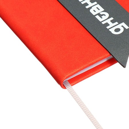 Universal diary for grades 1-11 Lenta, solid cover of artificial leather, applique, silkography, liesse, 48 sheets, red-2