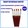 Set of brushes latex 5 pieces, large