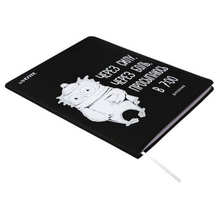 Universal diary for grade 1-11 Morning, integral cover, artificial leather, silkography, liesse, 80 g/m2-1