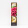 Raspberry repair varieties "Eurasia", 1 pc, tube, spring 2025