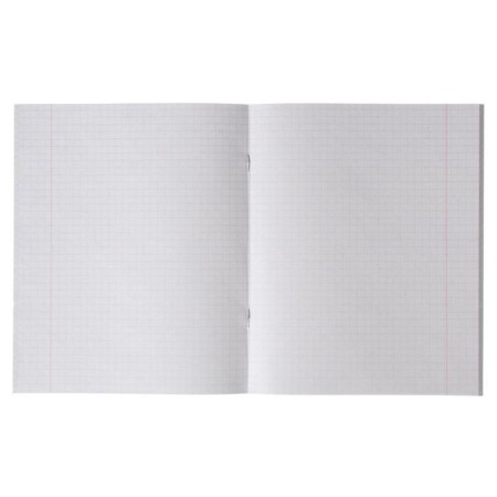 Notebook of 48 sheets in the Calligrata “leaves” cage, covered paper cover, block No. 2, whiteness 75% (gray sheets), mix-1