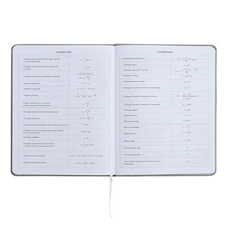 The universal diary for grade 1-11 did not take the sausage, solid cover, artificial leather, with foam rubber, liesse, 80 g/m2-8