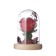 Nightlight “Rose” LED 3HAAA Red 9.5x9.5x14cm