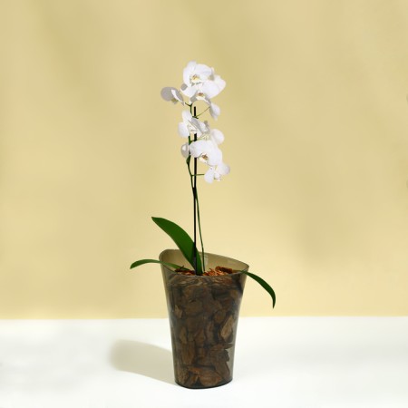 Pot for orchids, 1.3 l, 13.6 × 14.1 × 20 cm, plastic, transparent gray-2