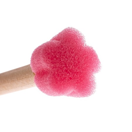 Set of sponge brushes, 6 pieces-2