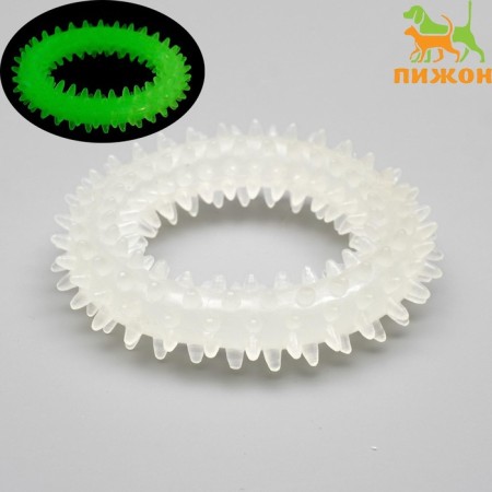 A toy for dogs lining in the dark, "Ring with spikes", 9 cm-2