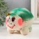 Growing gift Eco -Zhizhivchik "Turtle" in gift package mix
