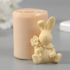 Silicone Mold 
