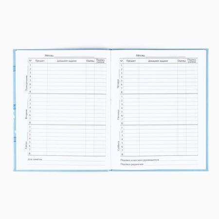 School diary for grade 1-11, in an integrated cover, 40 l. "Panda"-2
