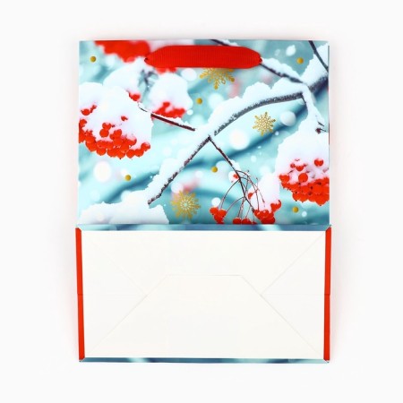 Package Gift New Year Laminated "Rowal", MS 23 x 18 x 10 cm, New Year-5