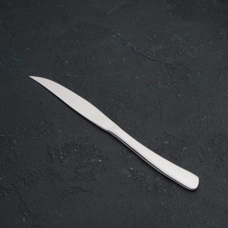 A stainless steel steak knife Magistro “Amy”, length 23 cm, silver color-1