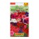 Fields of Petunia complimania F1 Magic, a mixture of varieties, 7 pcs