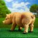 Garden figure "Small Piglet" 18x51x25cm