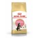 Dry food RC Kitten Main Coon for kittens of large rocks, 2 kg