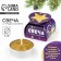 Tea candle "Memories", diam 4 cm