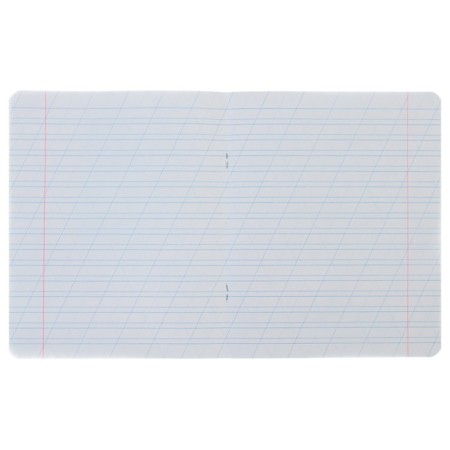 Notebook 12 sheets, in a slanting ruler, "cat bass", cover covering cardboard, mix-1