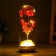 Nightlight "Red composition" LED from batteries 3xlr44 7x7x19 cm Risalux