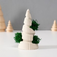 Souvenir 