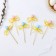 Swap eggs with a bow, mix, set 6 pcs.