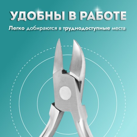 Pigitan nippers, 10.5 cm, blade length - 14 mm, silver color, RU -0145-3