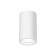 Ceiling light Technical C003CW-01W-1, GU10, 1x12 W, 70x70x120 mm, white