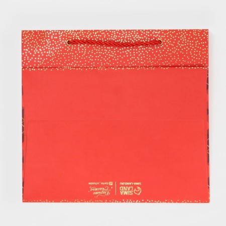 Laminated “Cell” package, 25 x 23 x 18 cm, new year-7