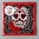 Paper “Skull” napkins, in a set of 20 pcs.