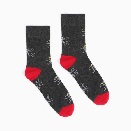 Set of male socks (2 pairs), black/gray color, size 42-43-2