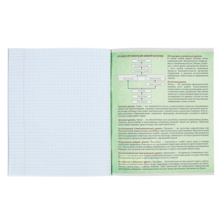 Subject Calligrata "Pixels", 36 sheets in a trampoline biology, with reference material, covered cardboard, offset block-4