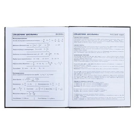 Diary for grades 5-11, 48 sheets "Duck Frick", solid cover, glossy lamination-12